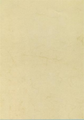 Előnyomott papír, A4, 200 g, APLI, havanna