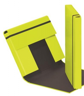 Füzetbox, A4, 40 mm, karton, PAGNA "Trend", lime zöld
