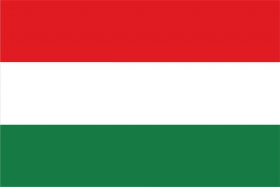 Zászló, magyar, címer nélkül, 40x60 cm